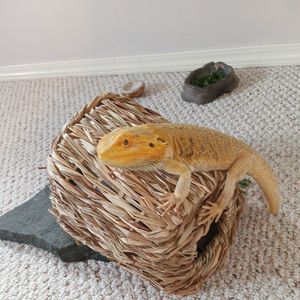 Meet your Posher, Crystal